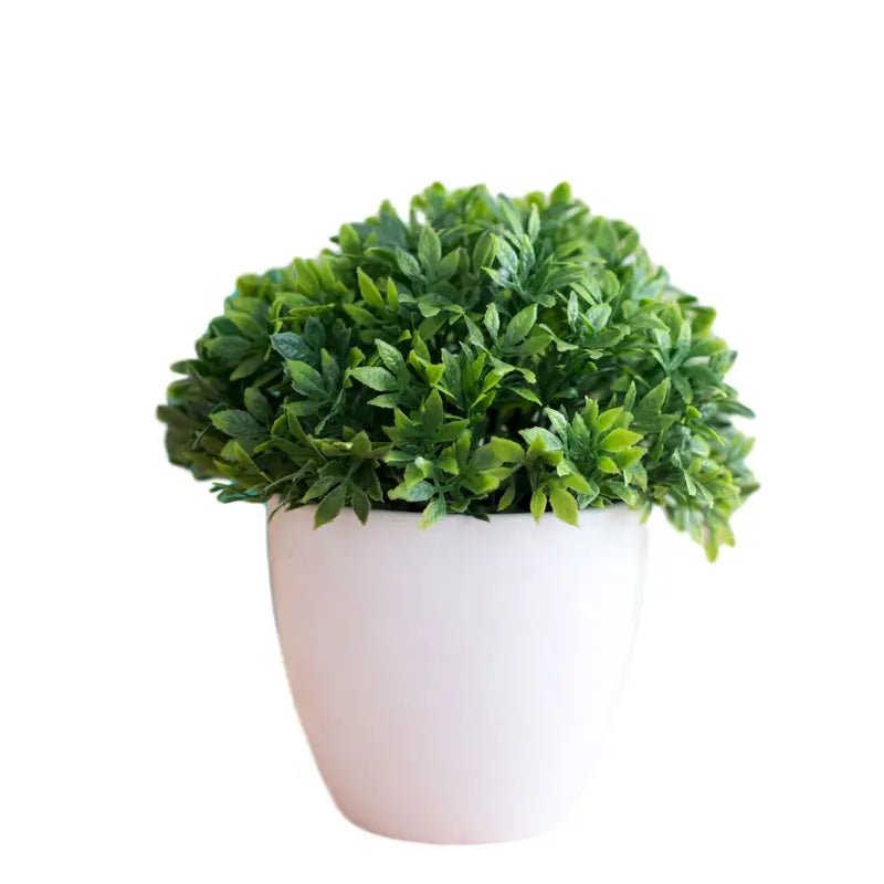 Potted Plant – White Ceramic - HausIna