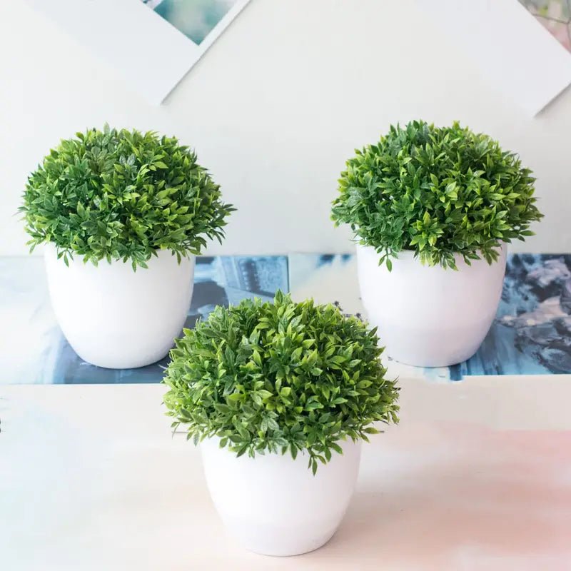 Potted Plant – White Ceramic - HausIna