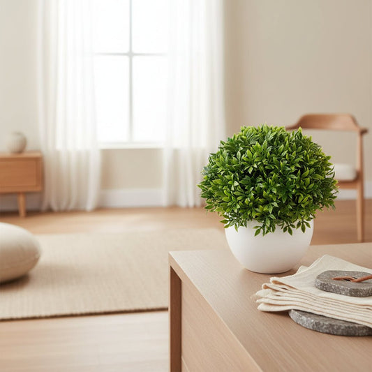 Potted Plant – White Ceramic - HausIna